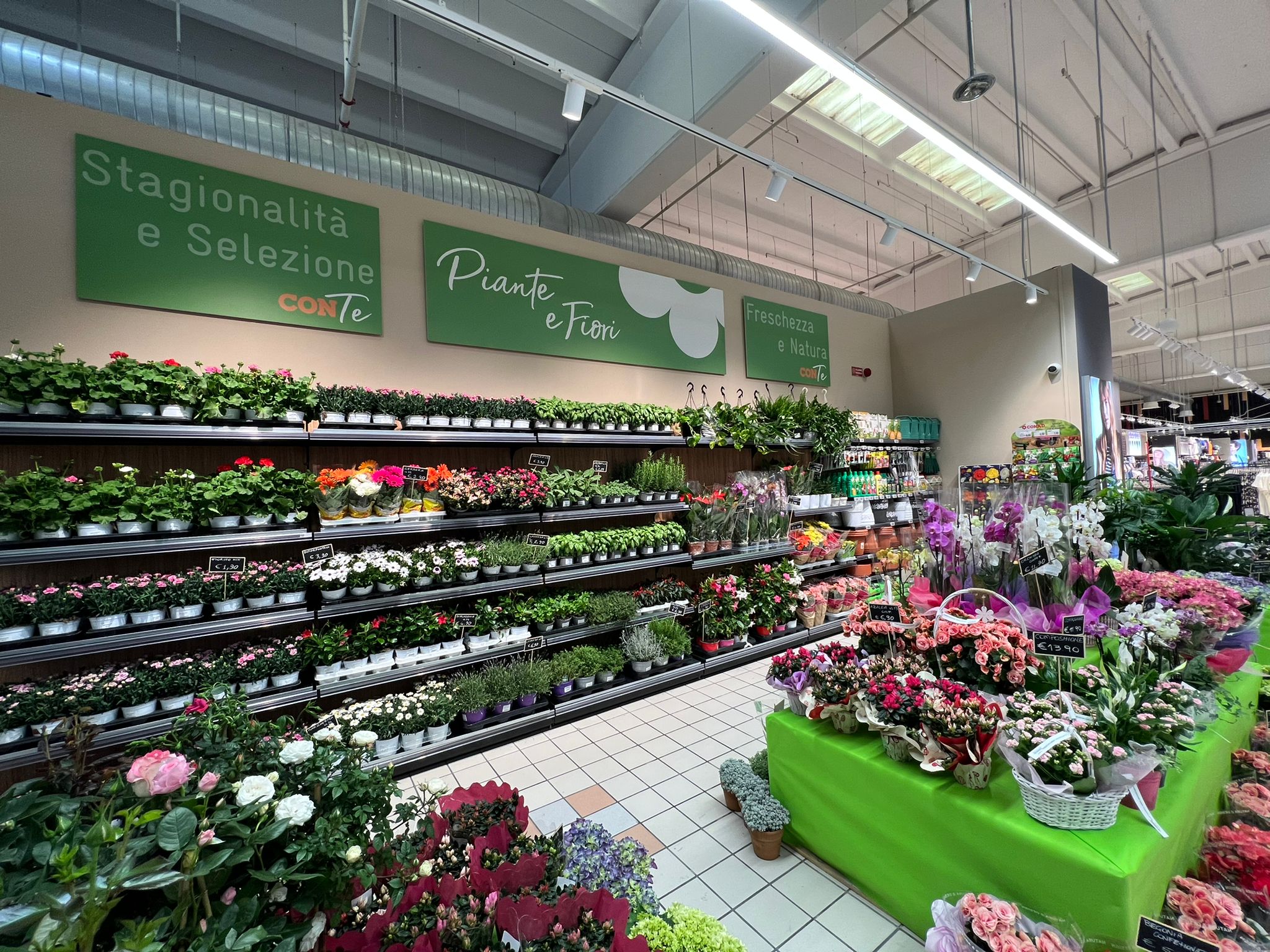 Ipermercato Conad 34